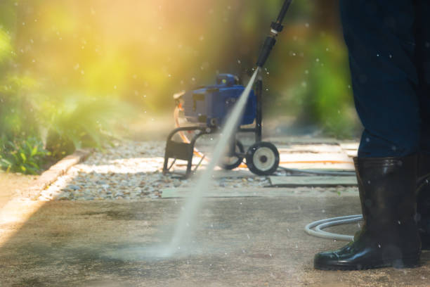 Animal Enclosure Cleaning in Paxtang, PA
